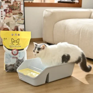 Retail ready packaging of premium crystal cat litter for pet stores