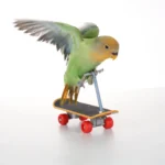 10007 Bird intelligence training skateboard toy demonstrating balance and behavior enrichment