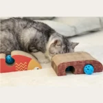10008 cat enrichment toy for home and pet shop display