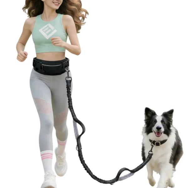 hands free retractable dog leash with running waist belt for jogging and dog walking