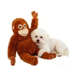 10002 Wholesale Orangutan Plush Dog Toy