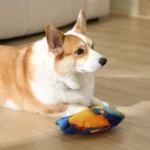 small dog playing with realistic fish plush squeaky toy indoors