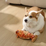 interactive plush dog toy with built-in squeaker stonefish shape