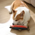 10004 interactive plush dog toy with built-in squeaker rainbow trout shape