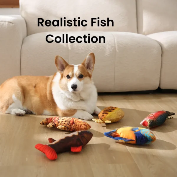 10005 realistic fish plush dog toys displayed in pet store retail shelf
