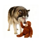 10007 Orangutan Plush Toy in Professional Pet Grooming Salon Waiting Area